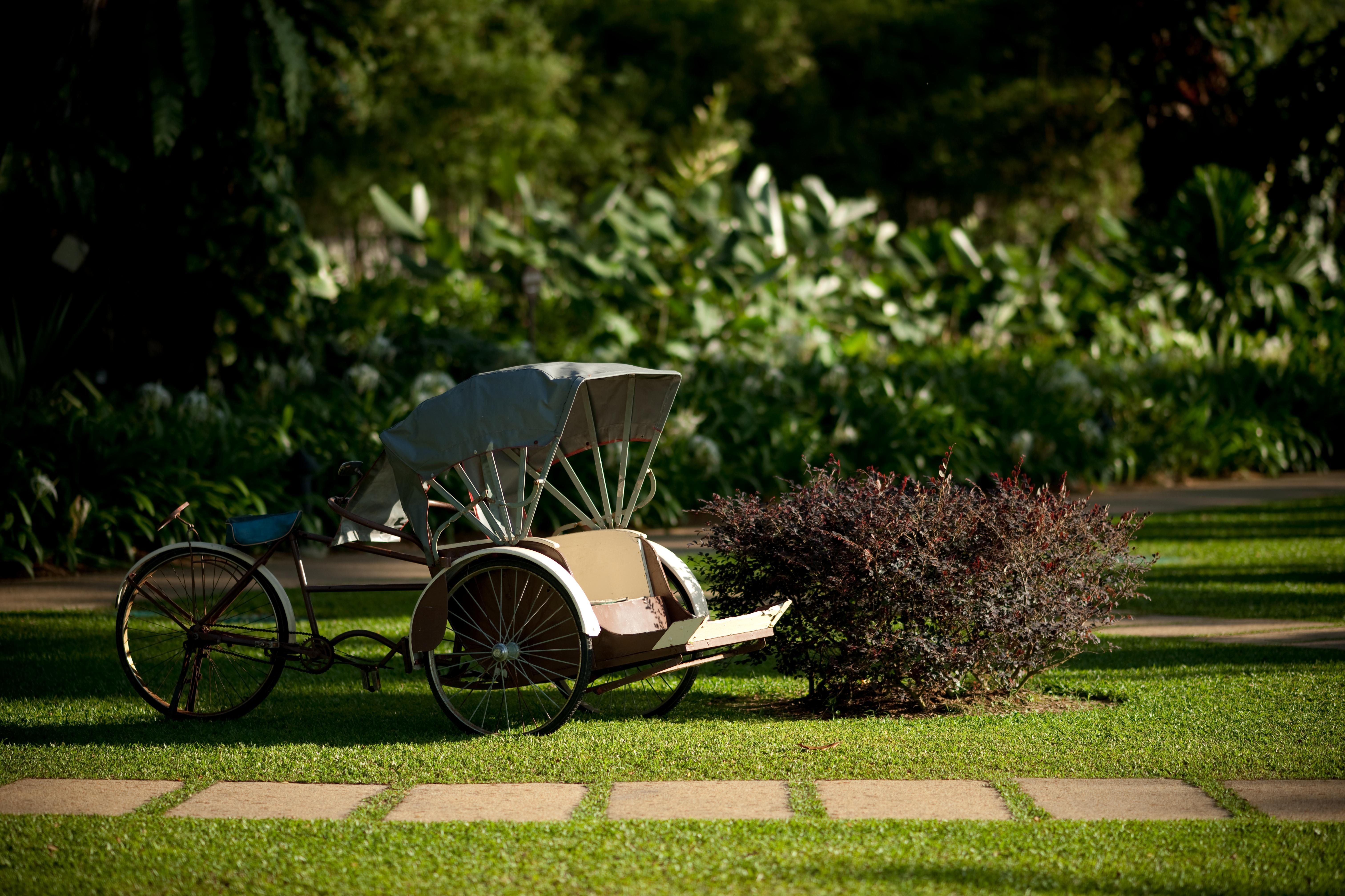 Shangri-La Rasa Sayang, Penang Batu Ferringhi Eksteriør bilde Rickshaw in the gardens