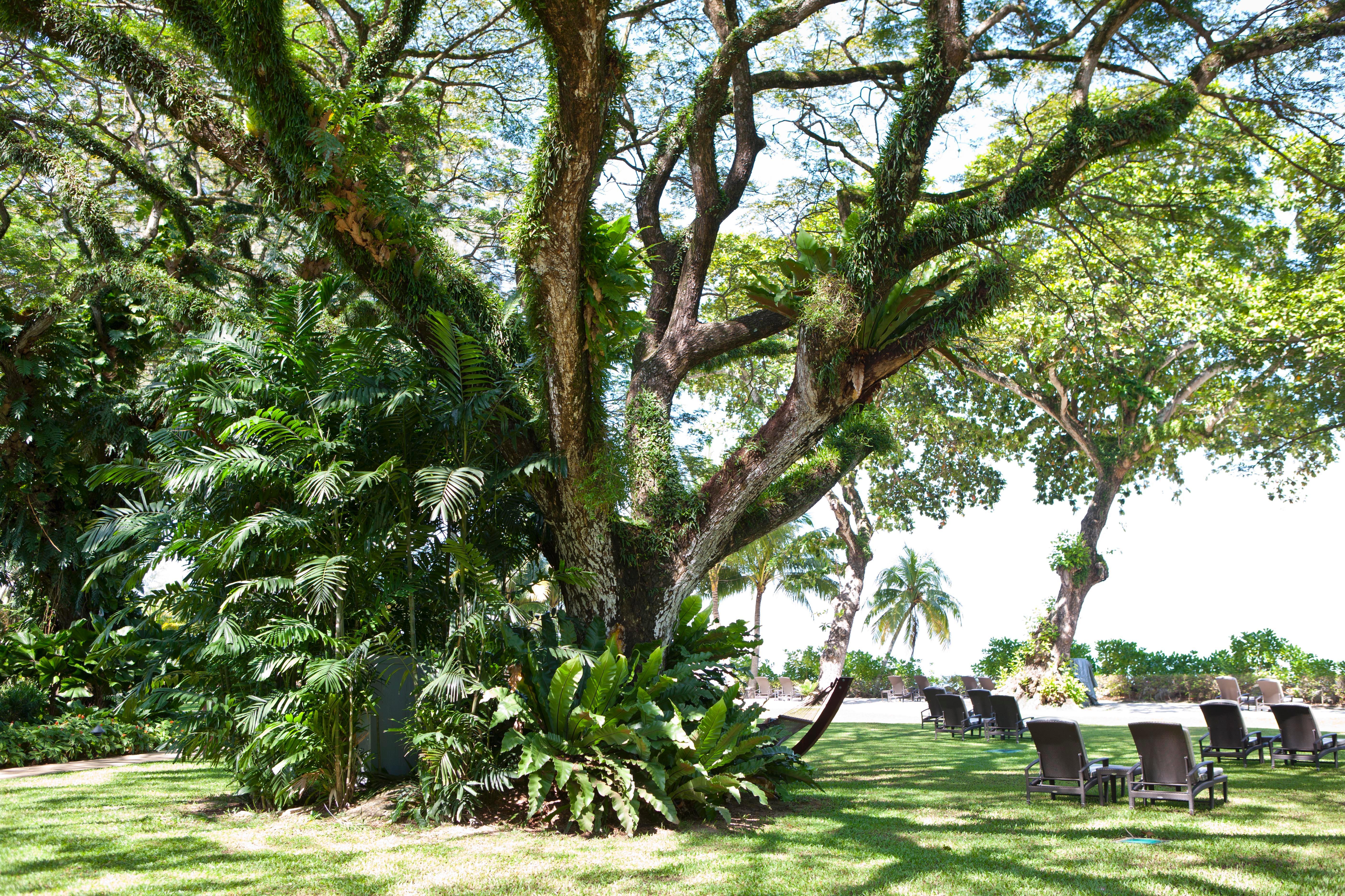 Shangri-La Rasa Sayang, Penang Batu Ferringhi Eksteriør bilde The gardens of the hotel